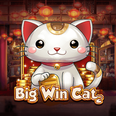 Big Win Cat Slot