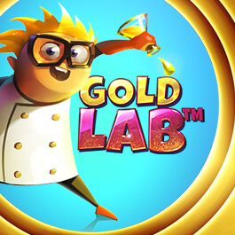 Gold Lab