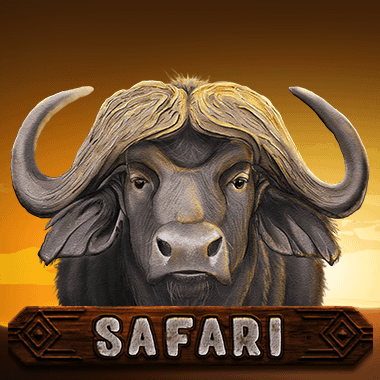 Safari