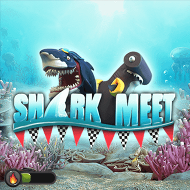 Shark Meet