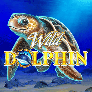 Wild Dolphin