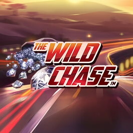 The Wild Chase 